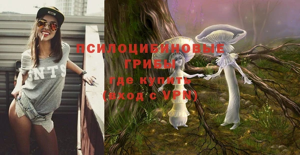 ПСИЛОЦИБИНОВЫЕ ГРИБЫ Алексин