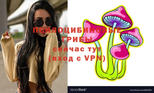 ПСИЛОЦИБИНОВЫЕ ГРИБЫ Алексин