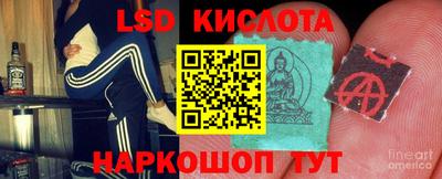 apvp Заволжье