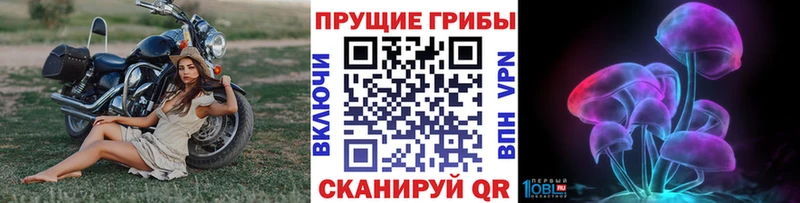 купить закладку  Менделеевск  Псилоцибиновые грибы Psilocybe 