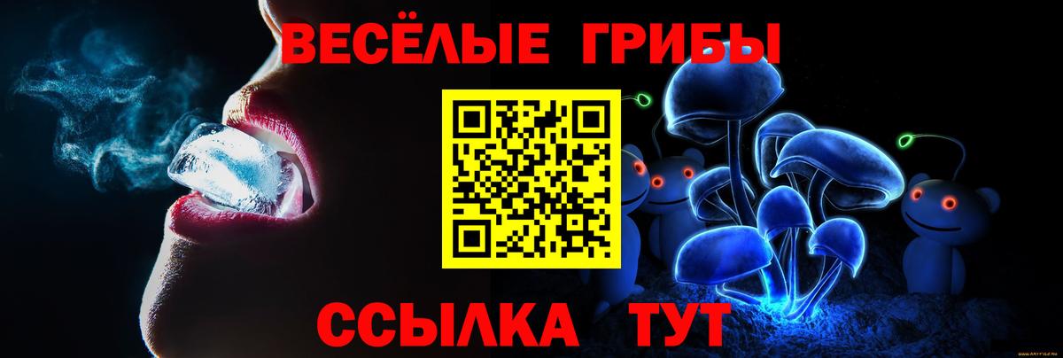 что такое наркотик  Вход с VPN  Менделеевск  Псилоцибиновые грибы Magic Shrooms 