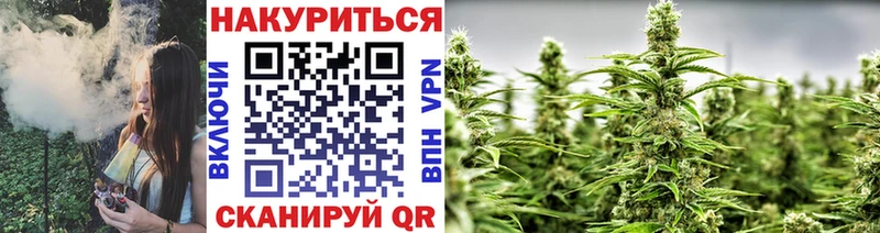 Бошки марихуана VHQ  где продают   Менделеевск 